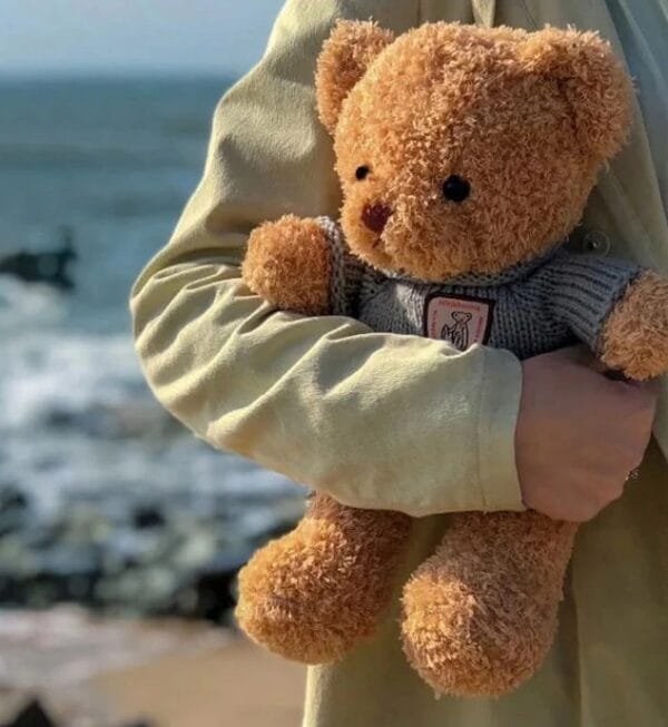 ตุ๊กตาน้องหมีนุ่มนิ่มเสื้อเทา - Image 2